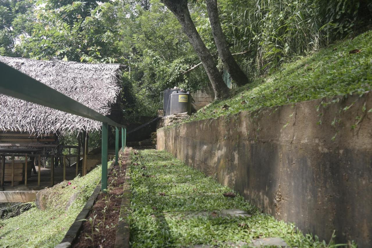 Glenview Hotel & Homestay Kandy Exterior foto